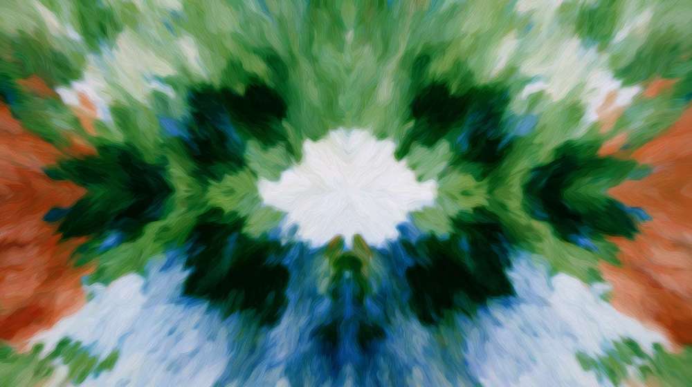 Botanical Drift